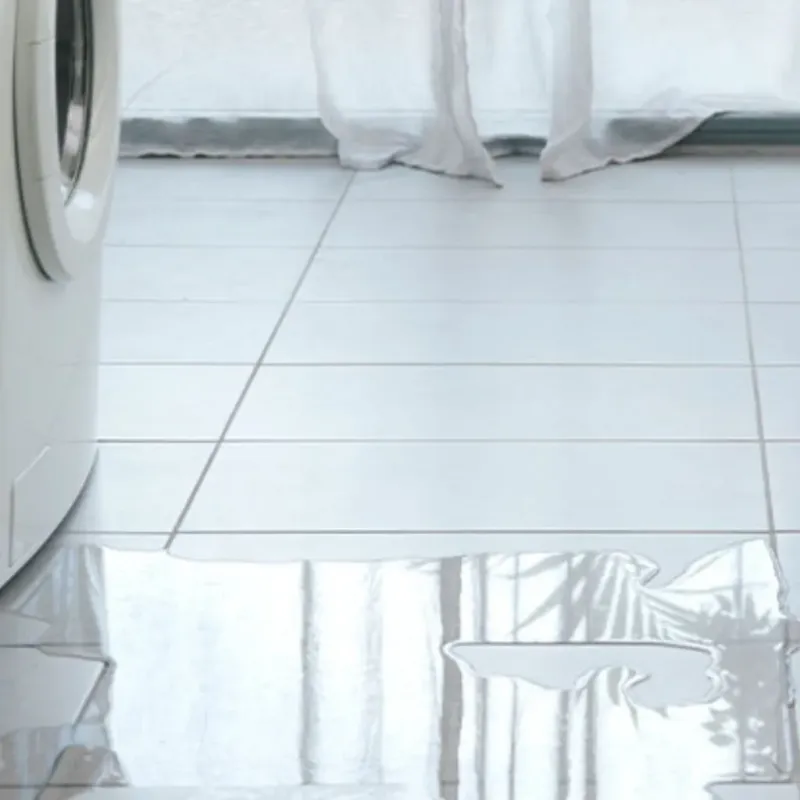 Appliance Leak Cleanup in Laymantown, VA