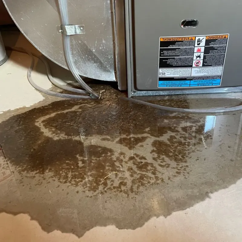Pipe Burst and Leak Restoration in Laymantown, VA