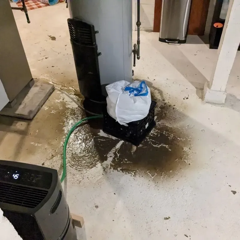 Sewage Backup Cleanup Service in Laymantown, VA